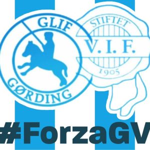 ForzaGV BLUE AND WHITE