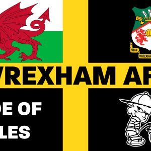 Wrexham ST DAVID FLAG