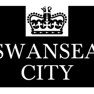 Swansea WEEKEND OFFENDER