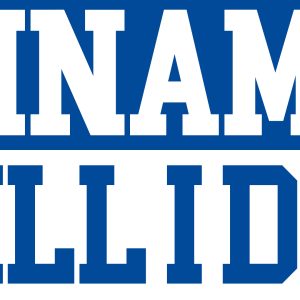 GNK Dinamo Zagreb TILL I DIE