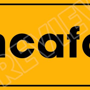 Newport County OUTLINE