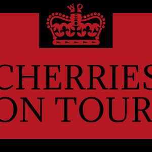 AFC Bournemouth Weekend Offender