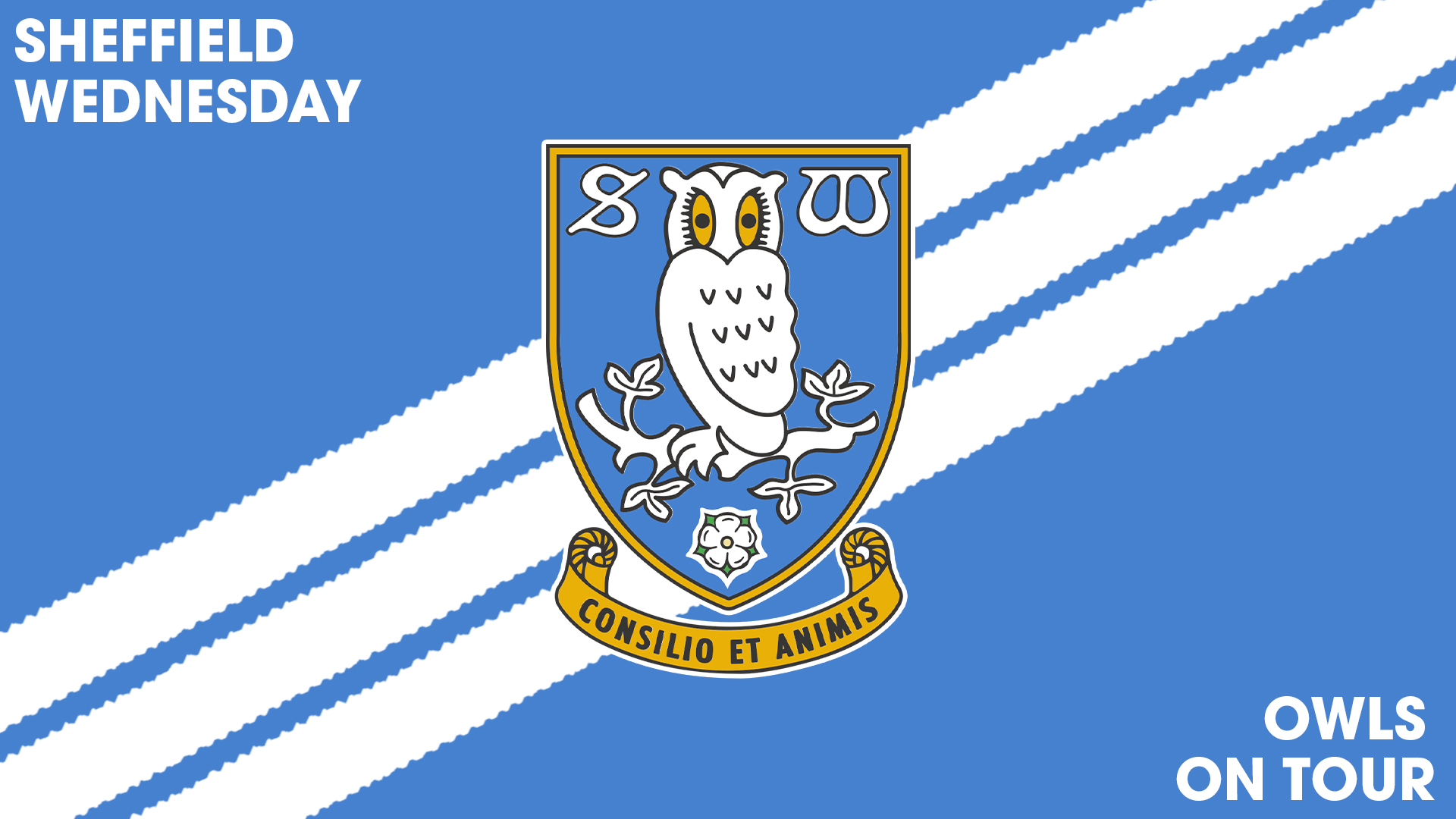 Sheffield Wednesday ADIDAS
