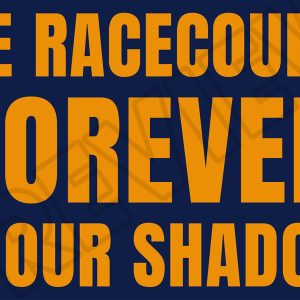 Shrewsbury IN OUR SHADOW