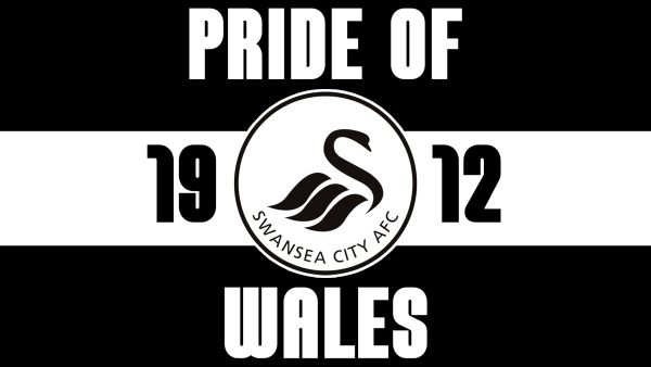 Swansea Bundle (Pack of 25,50,100) - Image 4