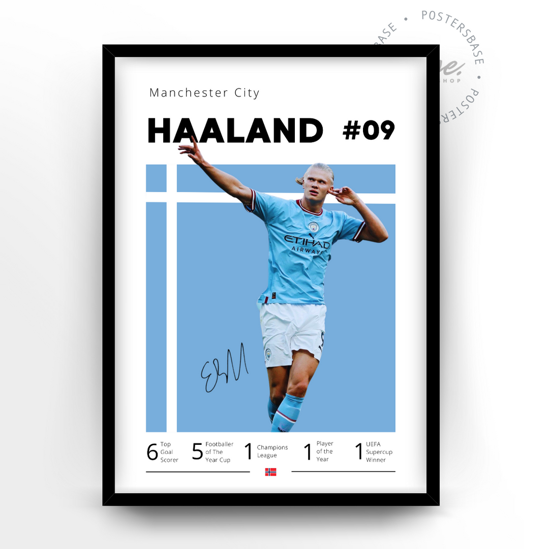 Erling Haaland - Image 2