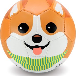 Daball Kid and Toddler Soccer Ball - Size 1, Pump and Gift Box Included