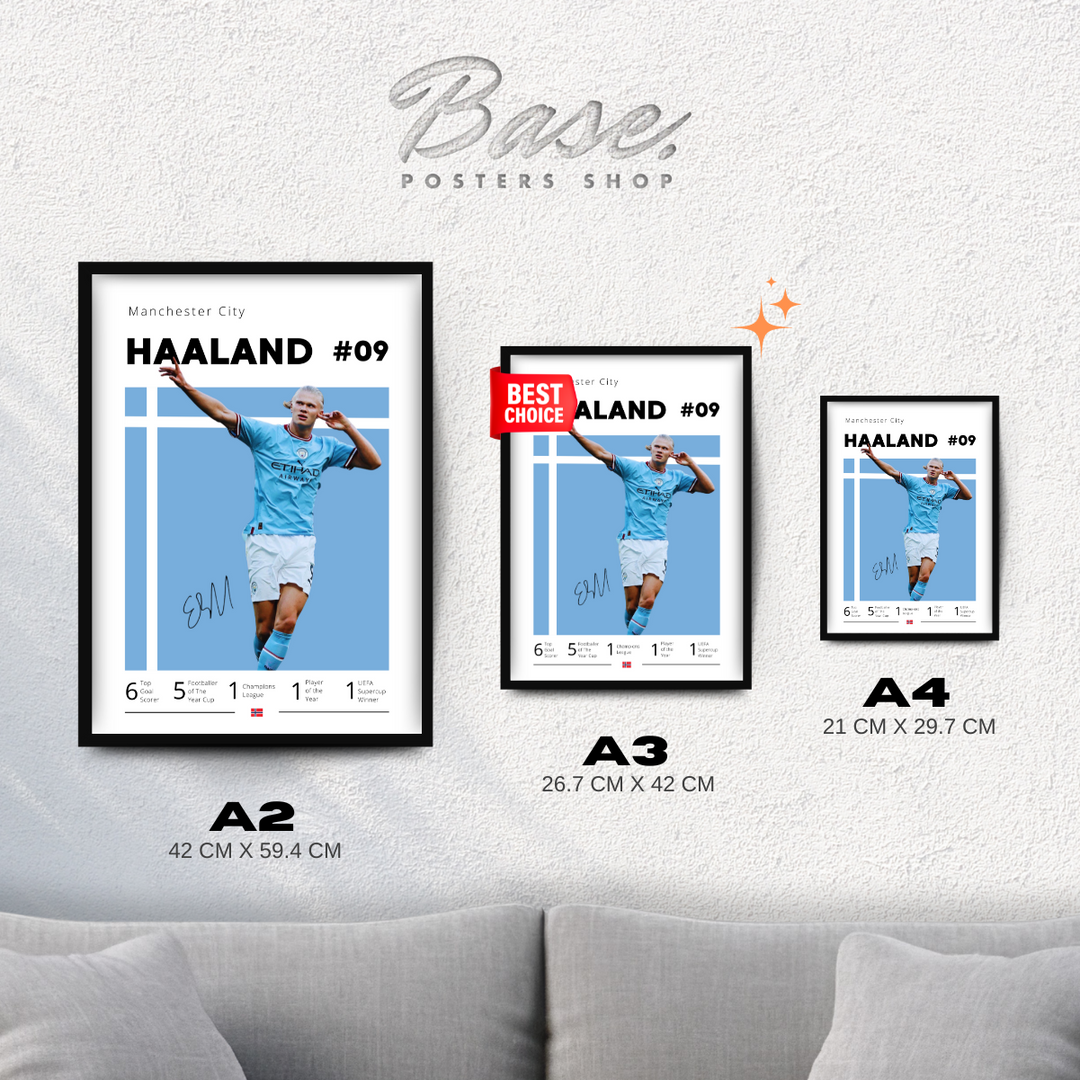 Erling Haaland - Image 3