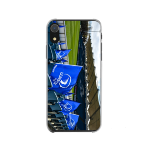 Leinster Rugby Stadium Hard Rubber Premium Phone Case (Free P&P)