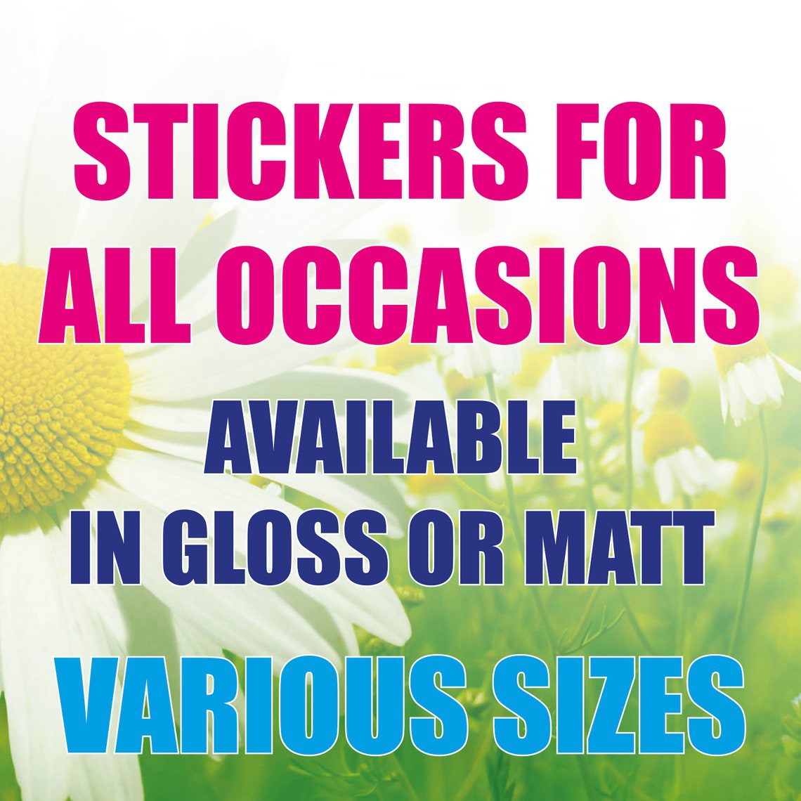 Personalised Football Net Soccer Happy Birthday Party Bag labels Stickers Thank you Any name message Boy Girl party Gloss or Matt 654-10 - Image 3