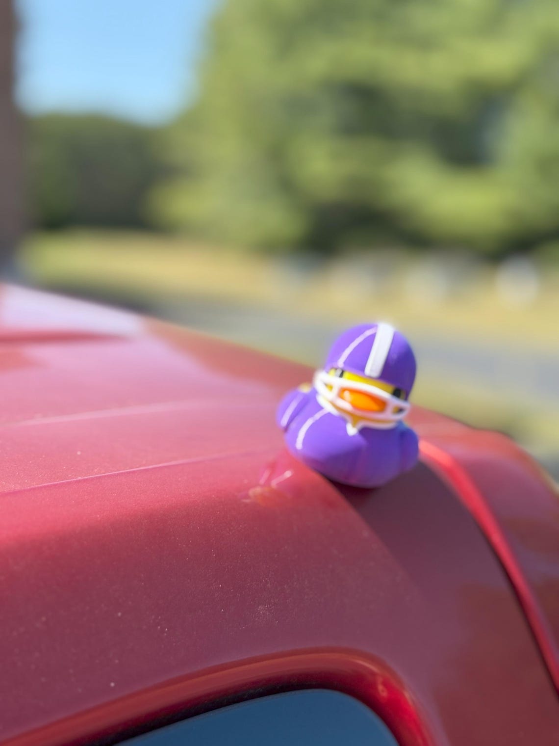 Quacknetics - Magnetic Football Duck - Image 6