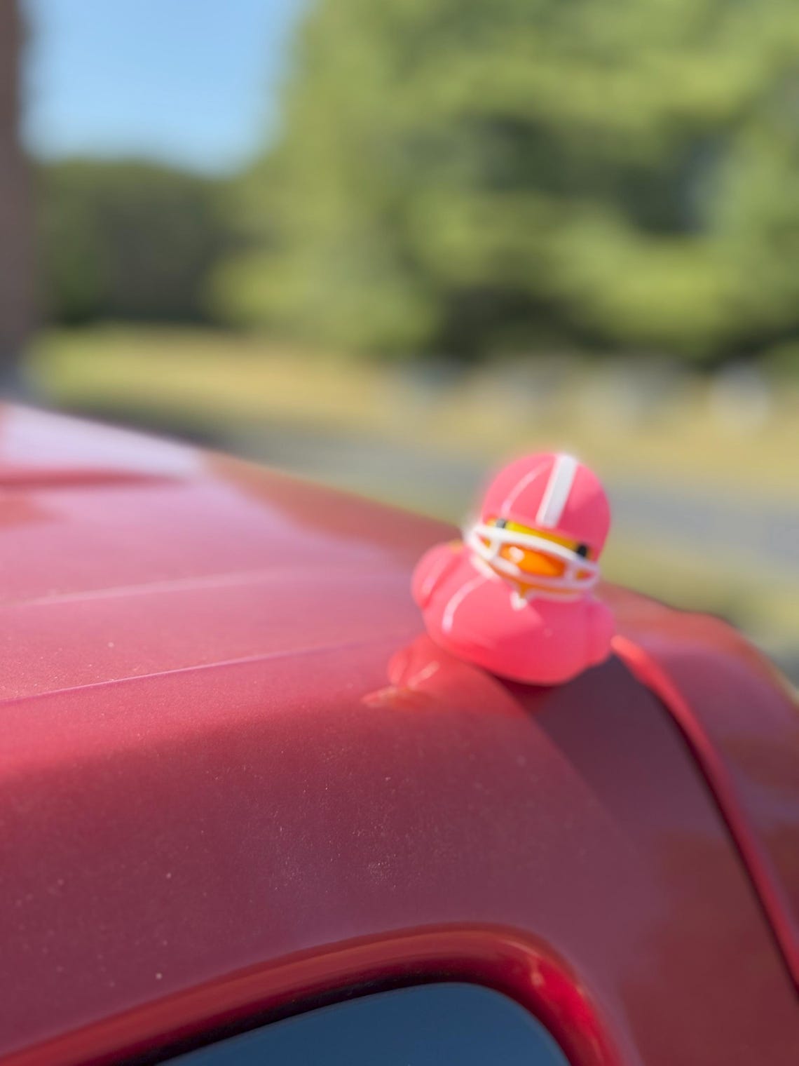 Quacknetics - Magnetic Football Duck - Image 10