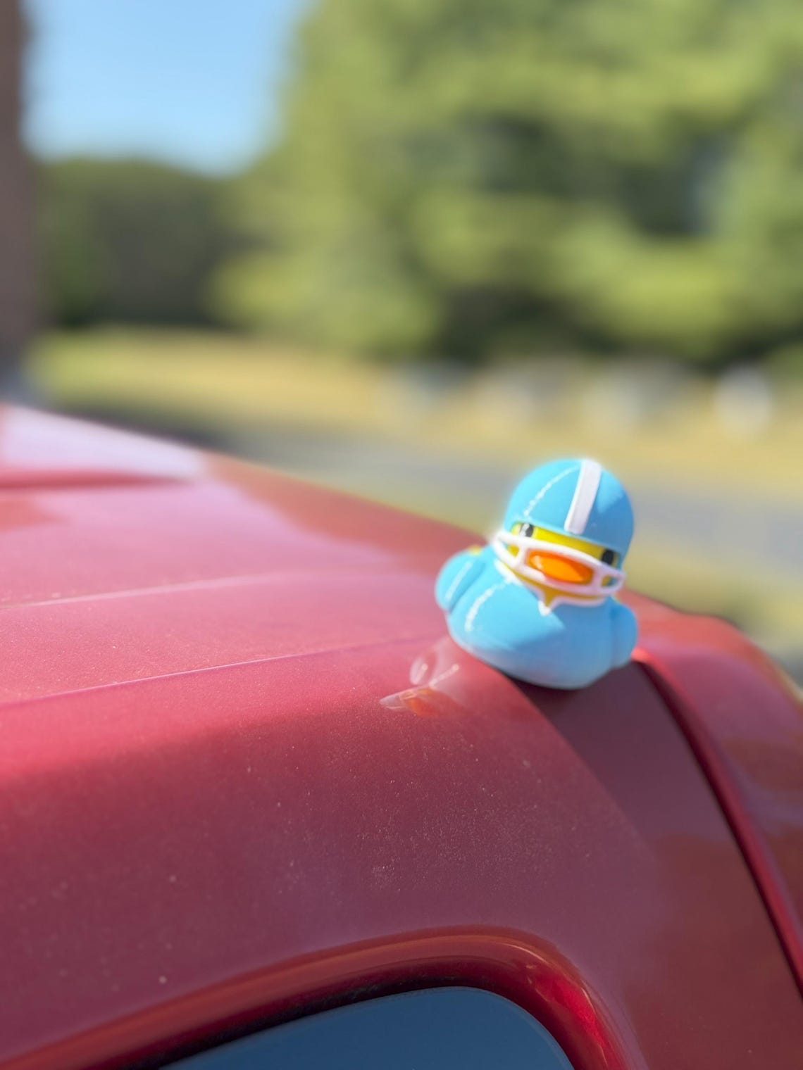 Quacknetics - Magnetic Football Duck - Image 11