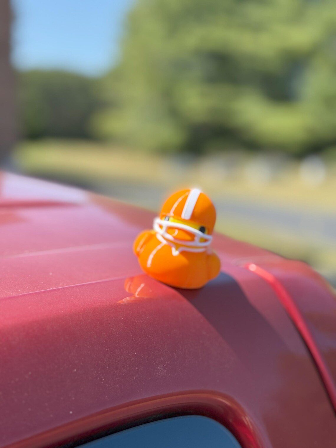 Quacknetics - Magnetic Football Duck - Image 4