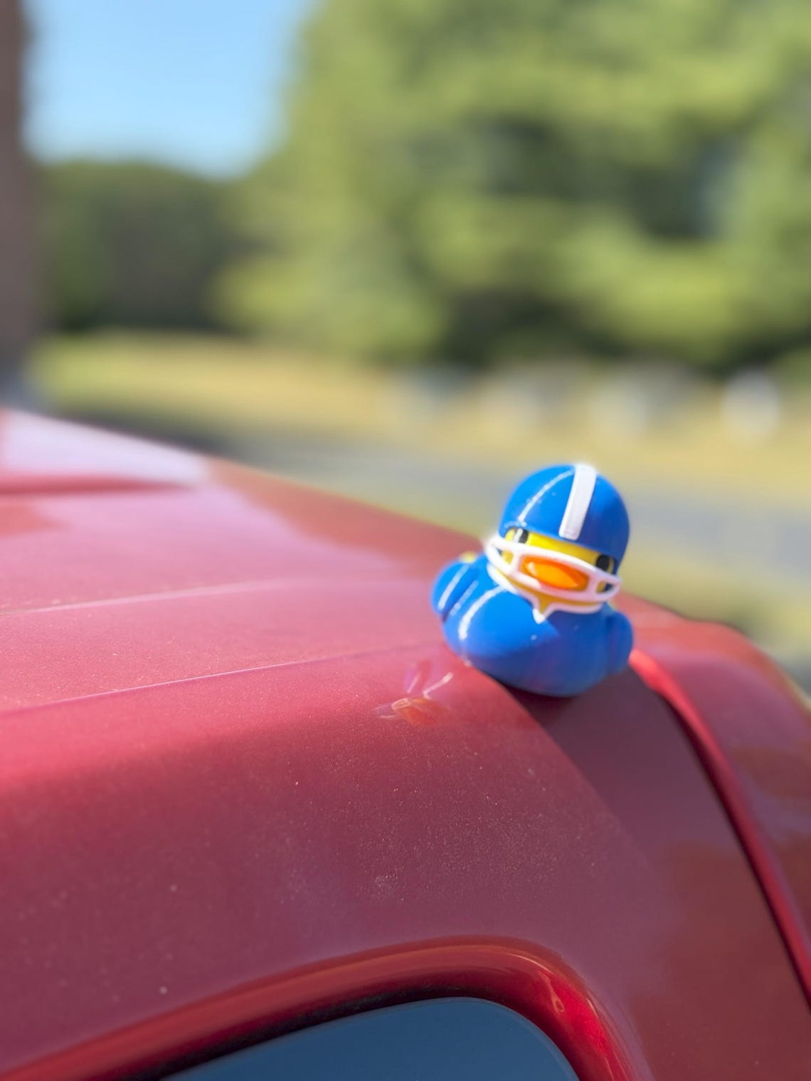 Quacknetics - Magnetic Football Duck - Image 9