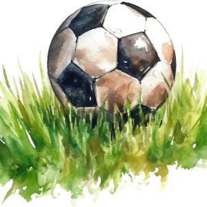 Watercolor football sticker car sticker wall sticker sport decoration boy's room children's room ball sticker football fan gift idea