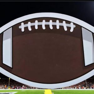 Football waterproof vinyl sticker, clearance sale!!!